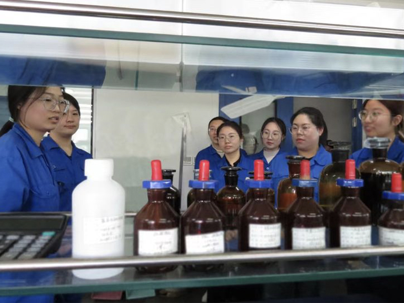 巾幗逢盛世，奮進(jìn)正當(dāng)時